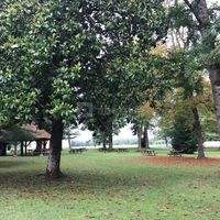 Domaine Nitot