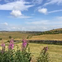 AUBRAC et carladez
