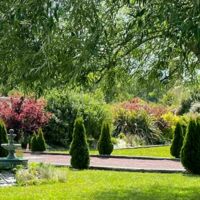 Domaine de la Forêt