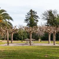 Château Prat de Cest