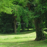 Clos des Sources jardin