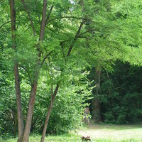 Clos des Sources jardin