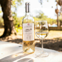 Domaine Castell de Blés