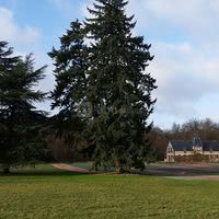 Le parc arboré vous accueille avec sa salle