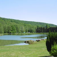 Vue sur les étangs
