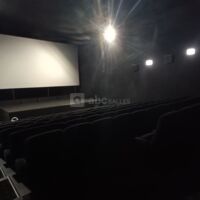 Salle 7