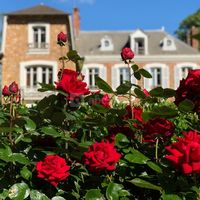 La Villa Rochette