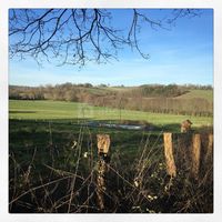 Domaine de Ronsard
