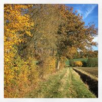 Domaine de Ronsard