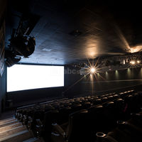 4DX