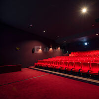 Salle 5