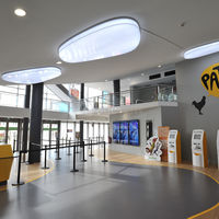 HALL