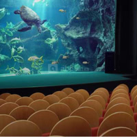 Aquarium La Rochelle