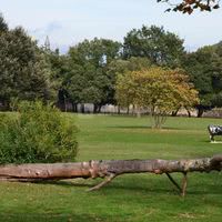 Domaine de Tourris