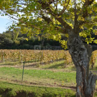 Domaine de Tourris