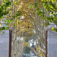 Domaine de Tourris