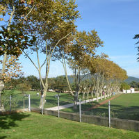 Domaine de Tourris