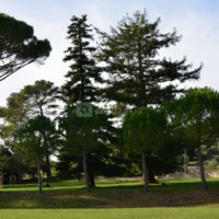Domaine de Tourris