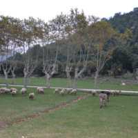 Domaine de Tourris