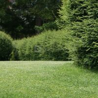 Les Champs Blain