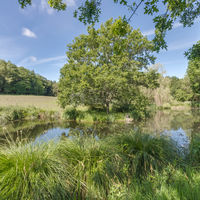 Domaine des Cavaliers