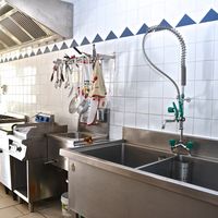 Friteuse,plancha,plonge professionnel deux baques