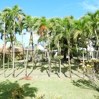 Habitation Suger