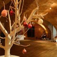 Domaine des Côteaux d'Or