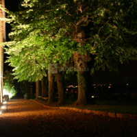 Domaine des Côteaux d'Or