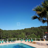 Les Parasols d'Argens