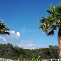 Les Parasols d'Argens