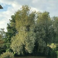 Le Domaine du Ruisseau
