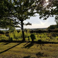 La vue des Mauges au delà des Douves