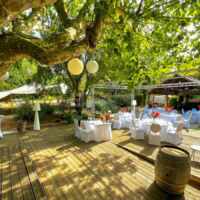Mariage à l'ombre des arbres
