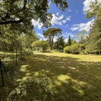 Espaces ext de plus de 1 Hectares pour vos team builgding et journée intencives tout evenements pro