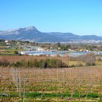 Domaine de la Navicelle