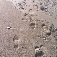 A seulement 5 minutes de la plage de Houlgate