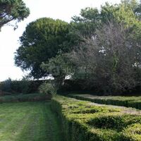 Le domaine