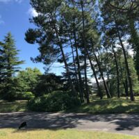 Le parc