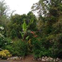 Jardin exotique