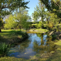 Etang bucolique