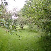 Les Lauriers de la Bastide