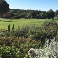 Vue Golf