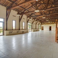 Salle Vignes - Château Auros