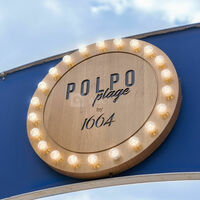 Polpo