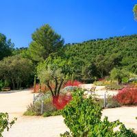 Jardins salle absolut