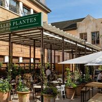 Les Belles Plantes