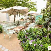 Les Belles Plantes