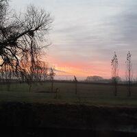 Alchimie des Colombes