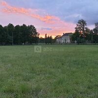 Alchimie des Colombes